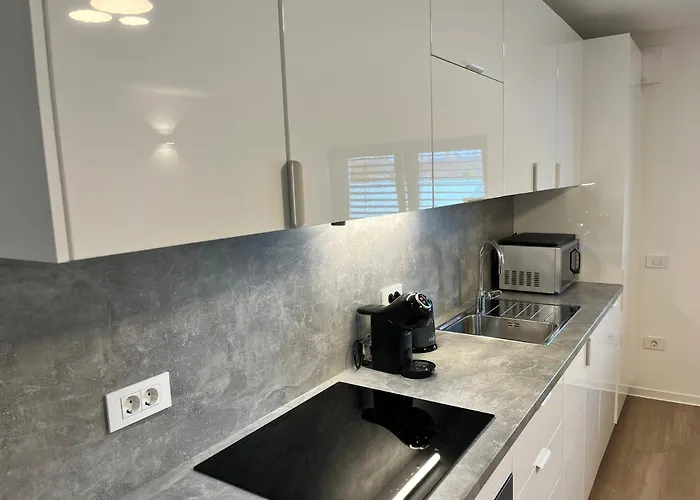 Apartment Kovaceva Apartments, Marice Kovaceve 15, App 1, Free Parking Laibach